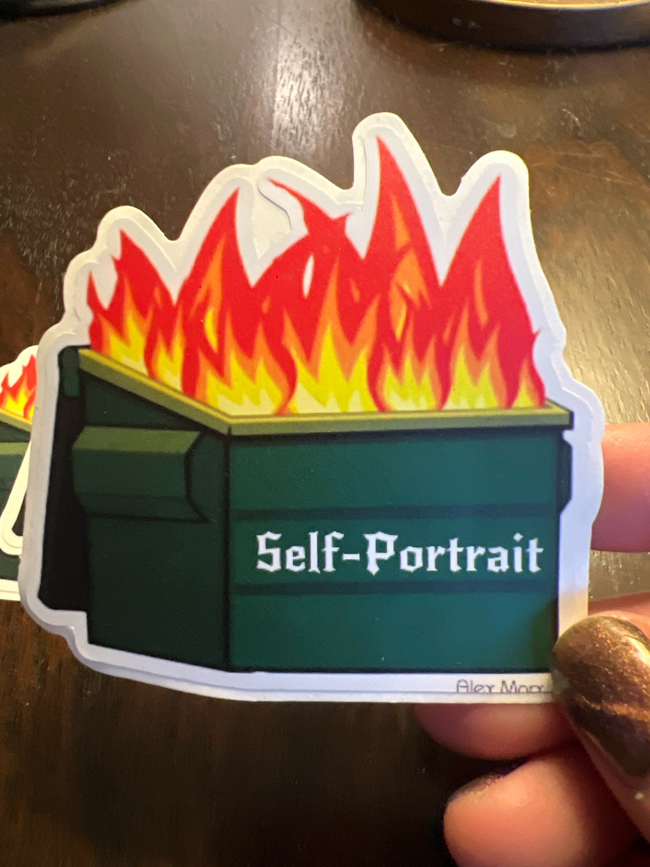 dark humor funny stickers dumpster fire decals funny bumper stickers laptop stickers queer punk decal stickers weird stickers waterproof