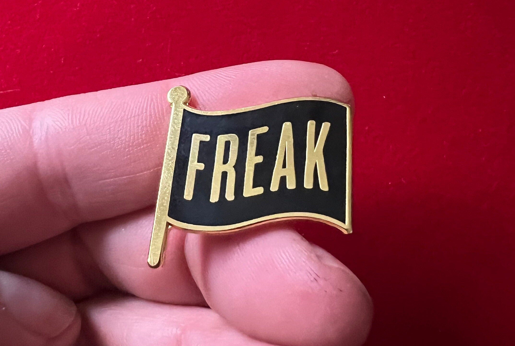 goth enamel pins and badges punk pins FREAK FLAG dark humor gothic accessories queer punk pinback buttons