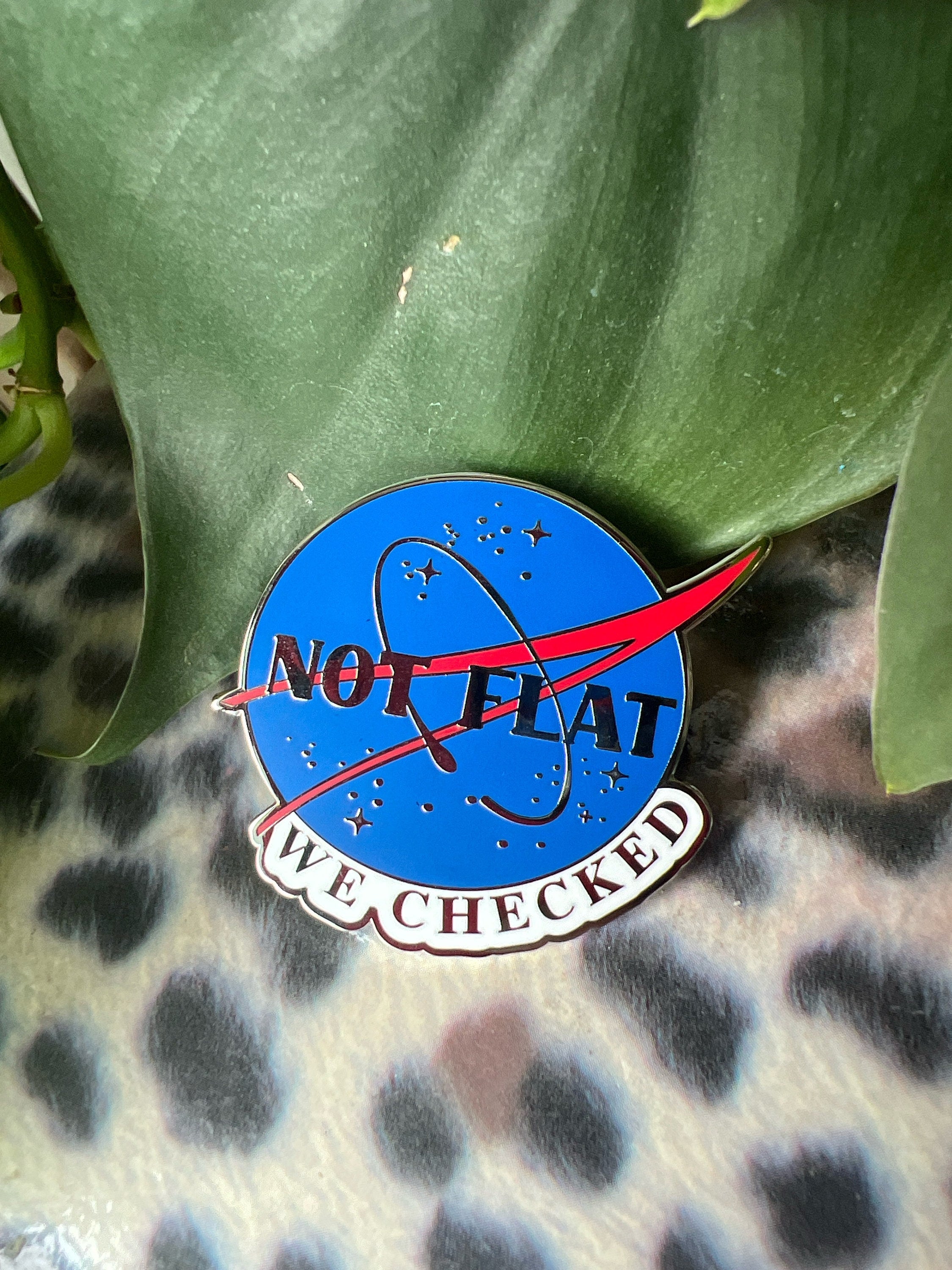 funny pins space badges punk pins nasa enamel pin science astronaut pin science gift not flat we checked hard enamel pins Earth button