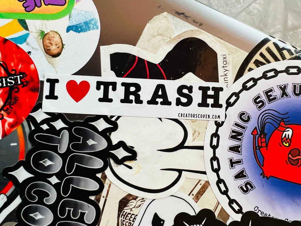 funny stickers punk stickers goth stickers sarcastic stickers for her I love trash vinyl sticker removable waterproof decal journal sticker
