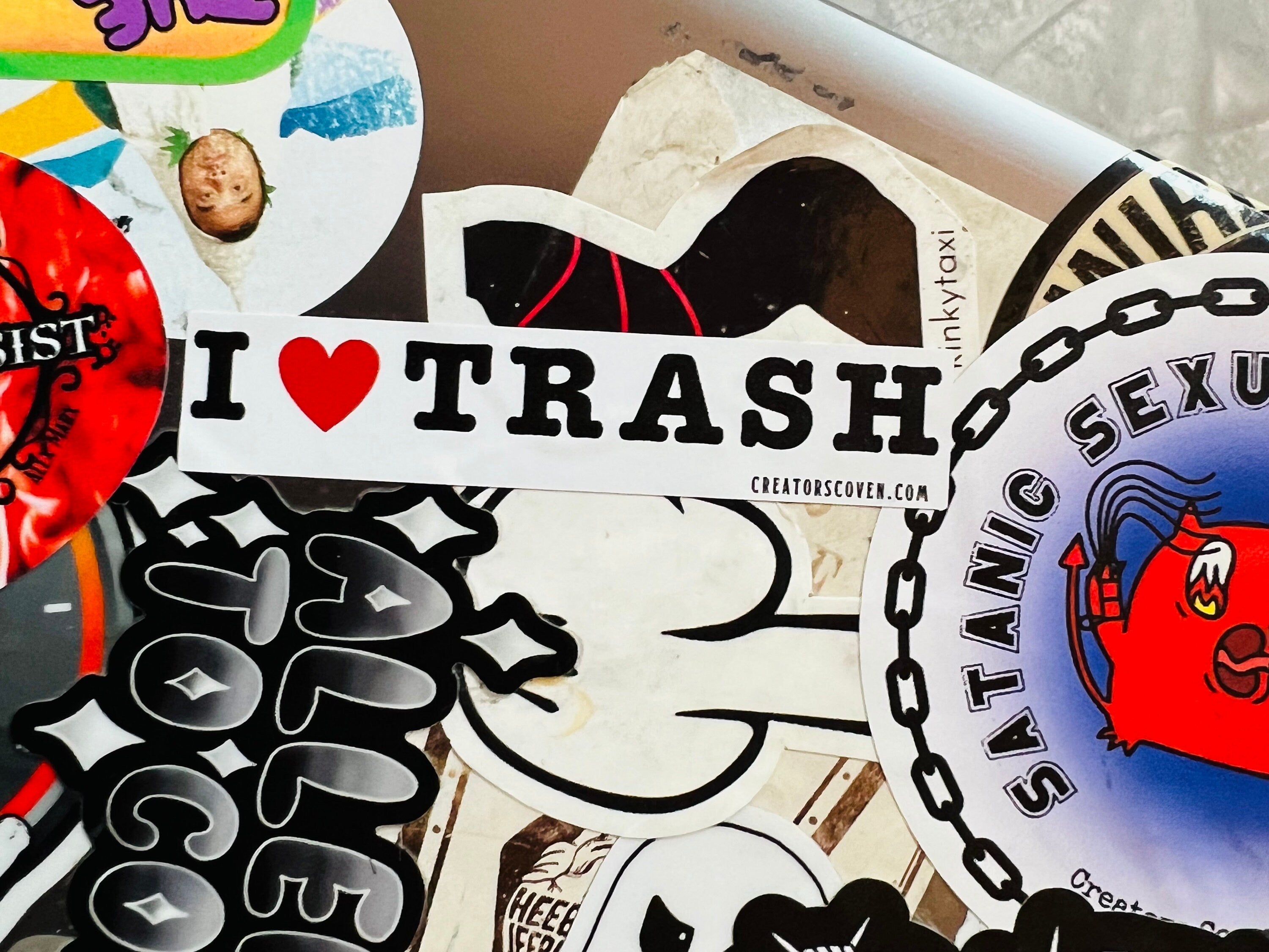 funny stickers punk stickers goth stickers sarcastic stickers for her I love trash vinyl sticker removable waterproof decal journal sticker