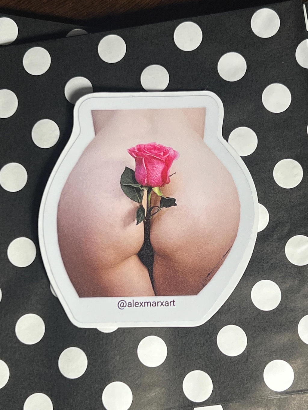 sexy vinyl sticker boudoir erotic decals portrait