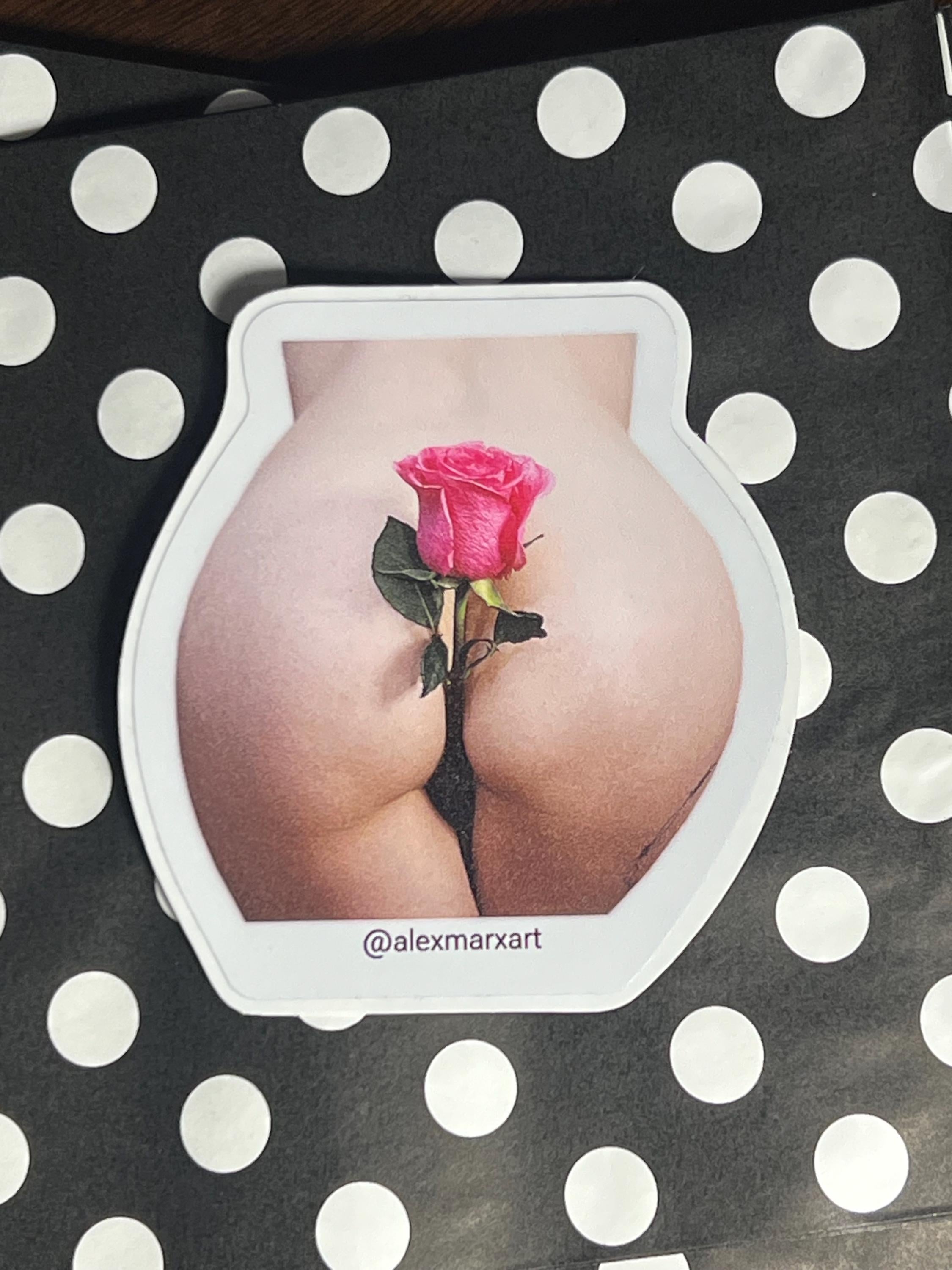 sexy vinyl sticker boudoir erotic decals portrait