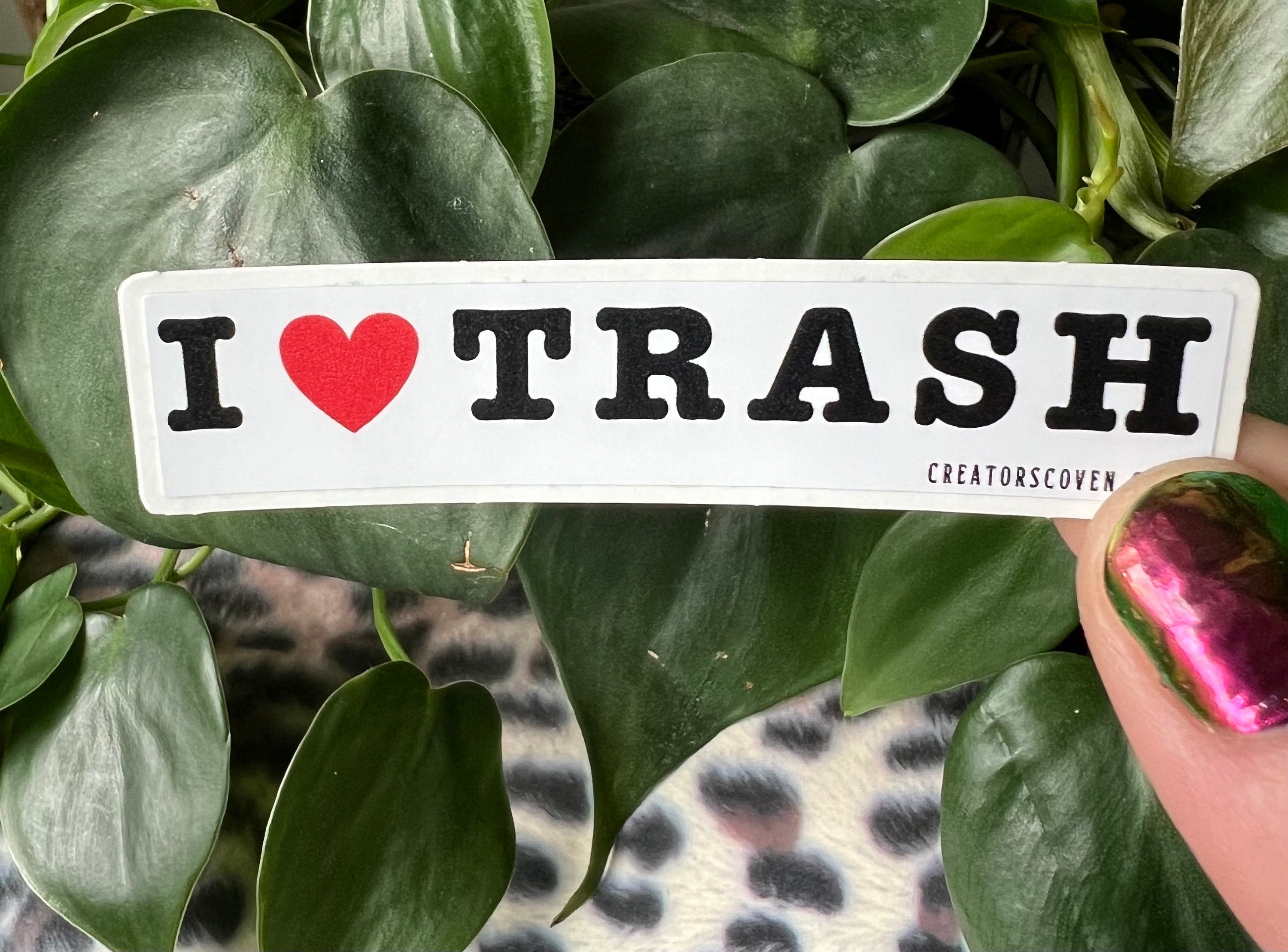 funny stickers punk stickers goth stickers sarcastic stickers for her I love trash vinyl sticker removable waterproof decal journal sticker