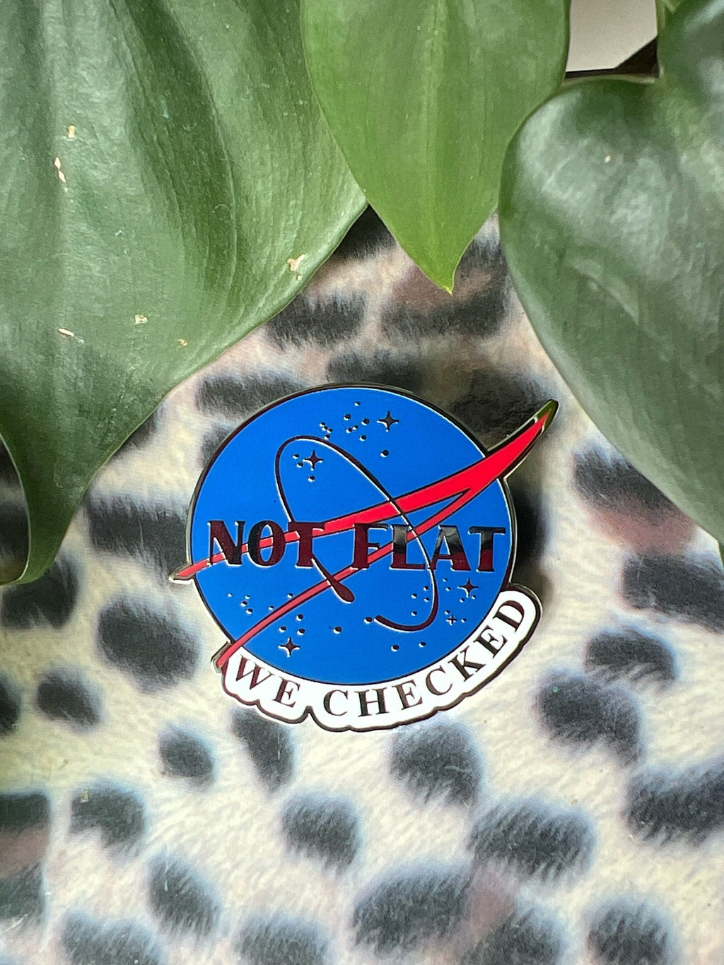 funny pins space badges punk pins nasa enamel pin science astronaut pin science gift not flat we checked hard enamel pins Earth button