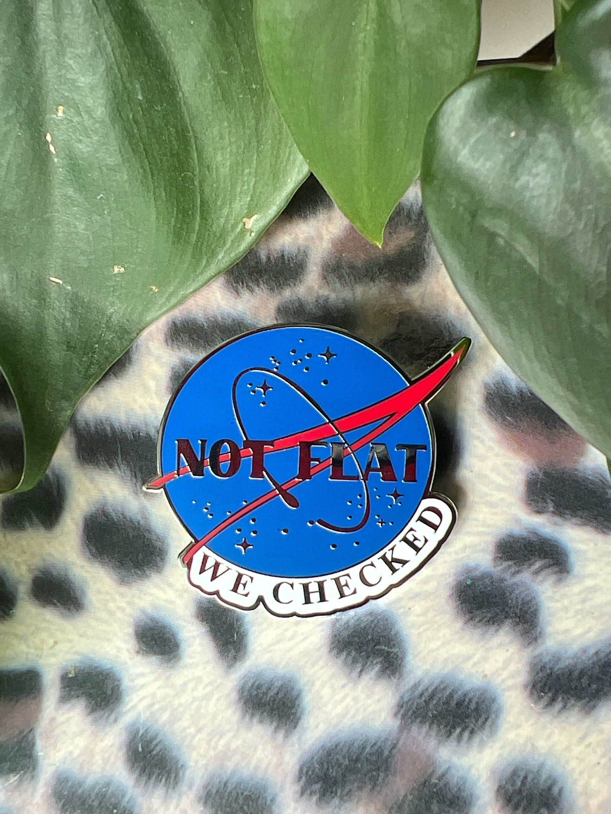 funny pins space badges punk pins nasa enamel pin science astronaut pin science gift not flat we checked hard enamel pins Earth button